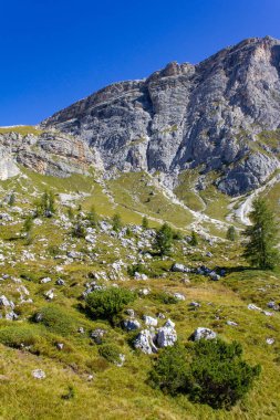 Cinque Torri, Passo Giau, İtalyan Dolomitlerindeki Rock Kuleleri