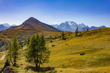 Cinque Torri, Passo Giau, İtalyan Dolomitlerindeki Rock Kuleleri