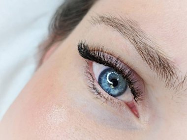 Close up of opened blue eye with eyelash Extensions in beauty salon macro view.  clipart