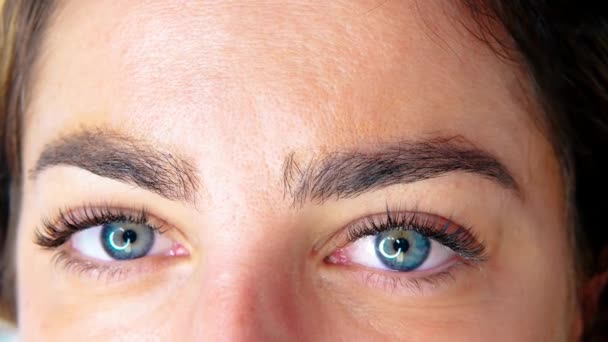 Tutup Bulu Mata Ekstensi Salon Kecantikan Macro Eye Foto Berkualitas — Stok Video