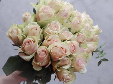 Close up of white roses natural floral background copy space .