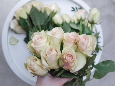Close up of white roses natural floral background copy space .