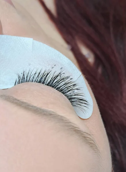 close up of eyelash extensions in beauty salon macro eye.