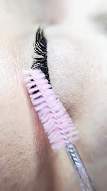 Close Eyelash Extensions Beauty Salon Macro Eye — ストック動画