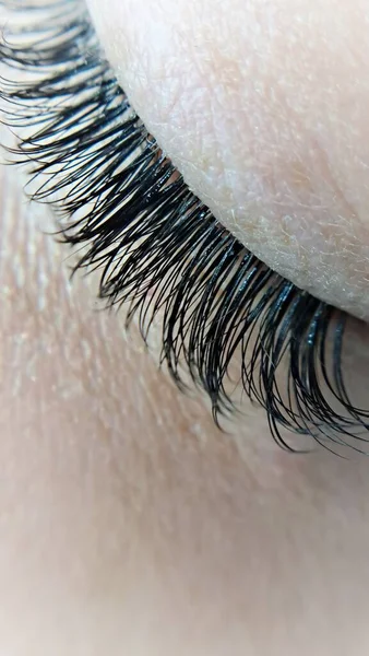 close up of eyelash extensions in beauty salon macro eye.