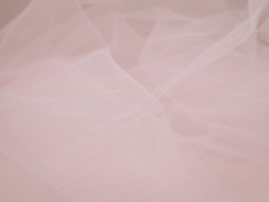 smooth powdery soft pink background copy space ,place for text. High quality photo