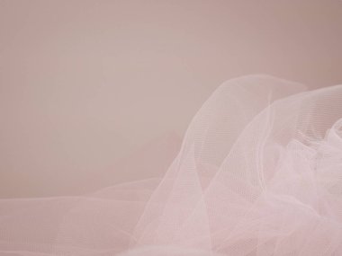smooth powdery soft pink background copy space ,place for text. High quality photo