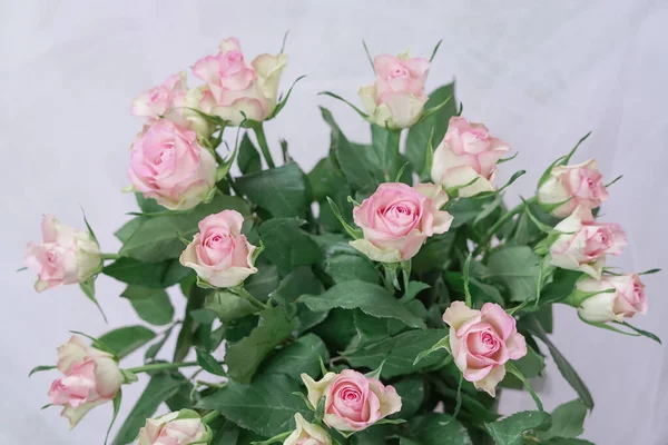 Strauß Rosa Rosen Der Vase Nahaufnahme Natürlicher Blumenhintergrund — Stockfoto