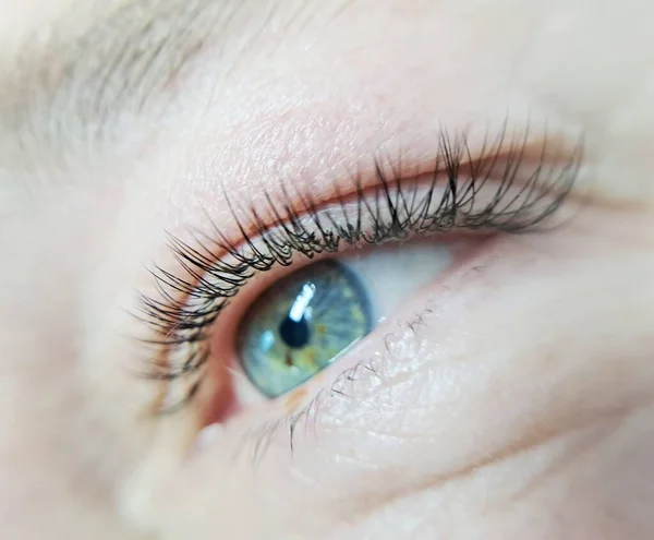 Nahaufnahme Des Auges Mit Wimpernverlängerungen Schönheitssalon Behandlung Hochwertiges Foto — Stockfoto