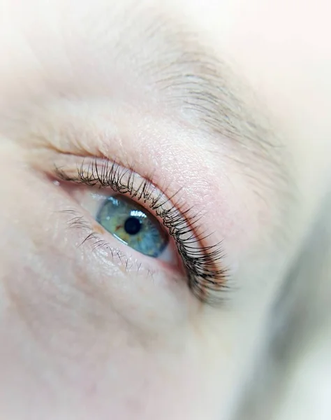 Nahaufnahme Des Auges Mit Wimpernverlängerungen Schönheitssalon Behandlung Hochwertiges Foto — Stockfoto