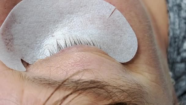 Close Eye Eyelash Extensions Beauty Salon Treatment — Stock Video
