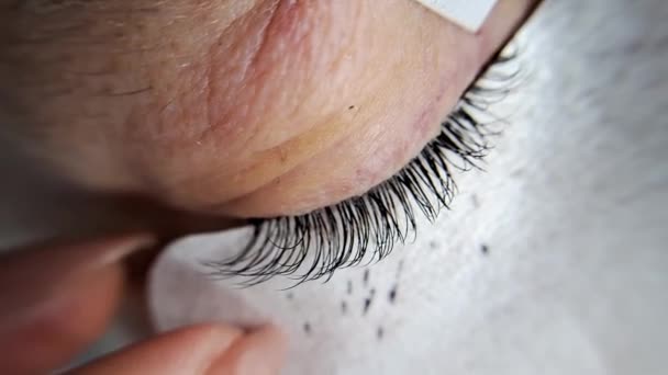Nahaufnahme Des Auges Mit Wimpernverlängerungen Schönheitssalon Behandlung — Stockvideo