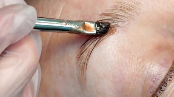 Close Process Eyebrow Tinting Beauty Salon Treatment — Stock Video