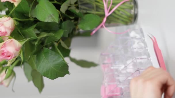Güzellik Salonunda Kirpik Eklentisi Için Ekipman Pembe Cımbız Takma Kirpikler — Stok video