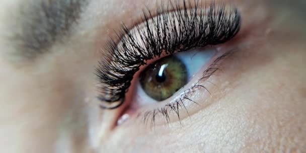 Nahaufnahme Des Auges Mit Wimpernverlängerungen Schönheitssalon Behandlung Hochwertiges Foto — Stockvideo