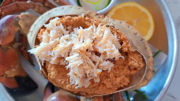 Mains Femme Épluchant Crabe Dans Une Assiette Dans Restaurant Fruits — Video