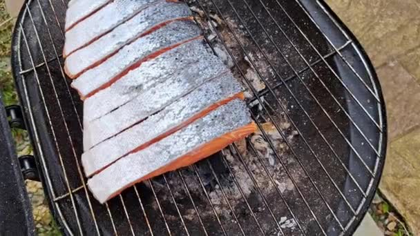 Pesce Fresco Tagliato Alla Griglia Barbecue Cottage Campagna Bistecca — Video Stock