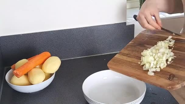 Mãos Mulher Cortando Cebolas Cruas Cozinha Jantar Cozinhar — Vídeo de Stock