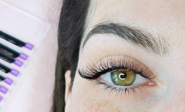 Nahaufnahme Des Auges Mit Wimpernverlängerungen Schönheitssalon Behandlung Hochwertiges Foto Stockbild