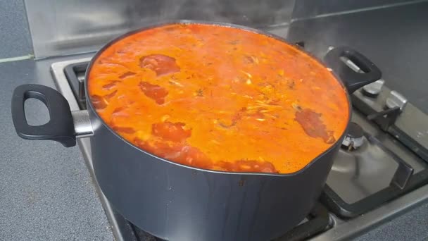 ウクライナの国民料理赤Borsch上のガスストーブの上に鍋 — ストック動画