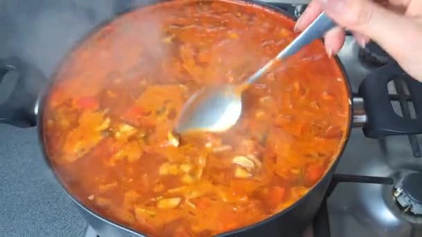 Украинское Национальное Блюдо Красного Борща Газовой Плите Кастрюле — стоковое видео