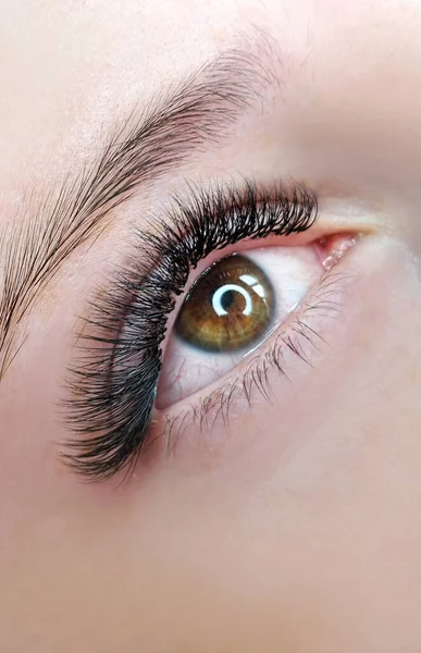 close up of eyelash extensions in beauty salon macro eye.3d volume