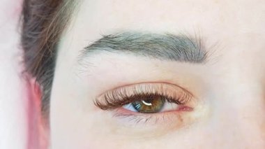 Göz kapaklarını kirpik uzatmaları, güzellik salonu tedavileri. 2 d cilt kahverengi kirpikleri.