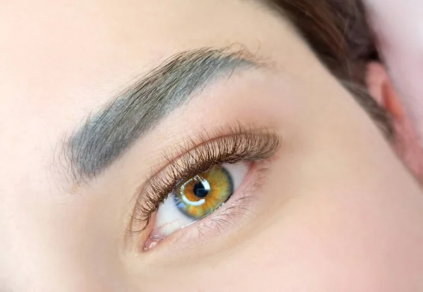 close up of eyelash extensions in beauty salon macro eye.2d,3d ,russian volume, mega ,kim k, classical