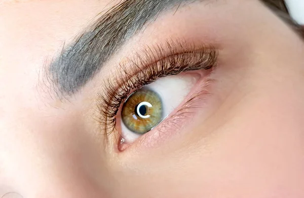 Close Eyelash Extensions Beauty Salon Macro Eye Russian Volume Mega — Stock Photo, Image
