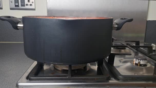 Ukrainian National Dish Red Borsch Gas Stove Saucepan High Quality — Stock Video