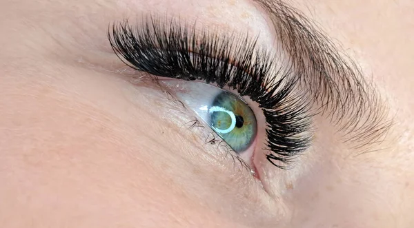 stock image Close up of eye with eyelash extensions ,beauty salon treatment ,2d volume, 3d volume, classical lashes,Russian volume,megavolume, new set.