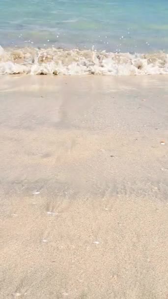 Mer Ciel Bleu Seascape Holidays Concept Images Haute Qualité — Video