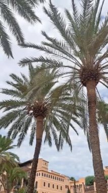 Deniz ve mavi gökyüzü, deniz manzarası, tatil konsepti. Yüksek kalite 4k görüntü