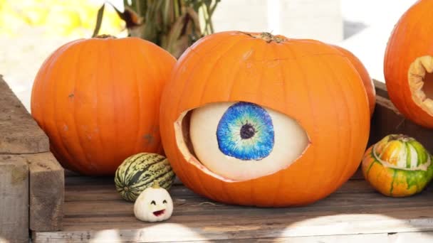 Calabazas Decoradas Miedo Naranja Para Halloween Imágenes Alta Calidad — Vídeo de stock