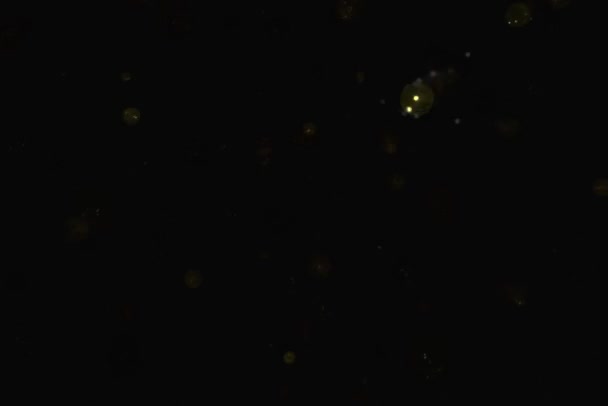 黑色背景复制空间上闪闪发光的闪光 — 图库视频影像