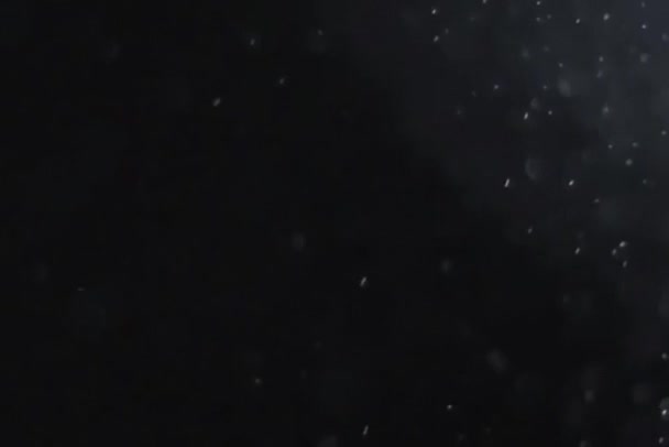 Nieve Cayendo Sobre Espacio Copia Fondo Negro Imágenes Fullhd Alta — Vídeo de stock