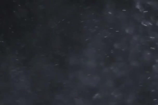 Снег Падает Черном Фоне Копировального Пространства Высококачественные Fullhd Кадры — стоковое видео
