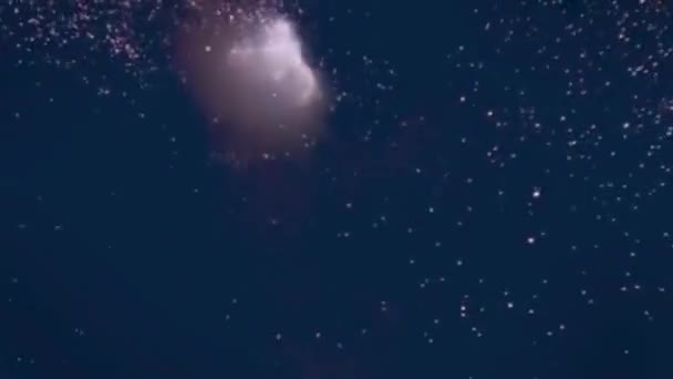 Feestelijk Sprankelend Vuurwerk Nacht Marine Blauwe Hemel Hoge Kwaliteit Fullhd — Stockvideo