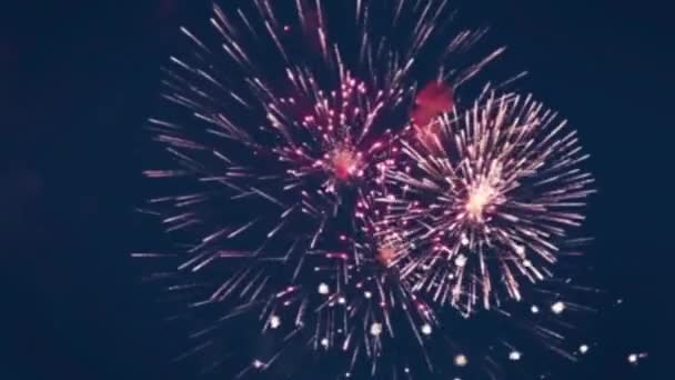 Focuri Artificii Strălucitoare Festive Cerul Albastru Marin Noapte Înregistrare Fullhd — Videoclip de stoc