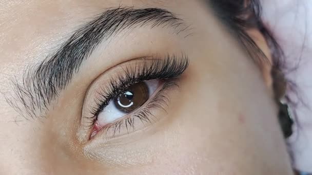 Nahaufnahme Des Auges Mit Wimpernverlängerungen Schönheitssalon Makroansicht — Stockvideo