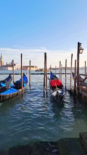 Прекрасний Морський Пейзаж Гондолами Блакитній Морській Воді Венеції — стокове відео
