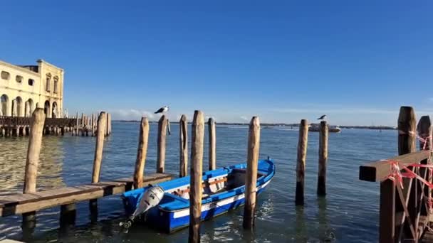 Venedik Teki Mavi Deniz Suyunda Gondollu Güzel Deniz Manzarası — Stok video