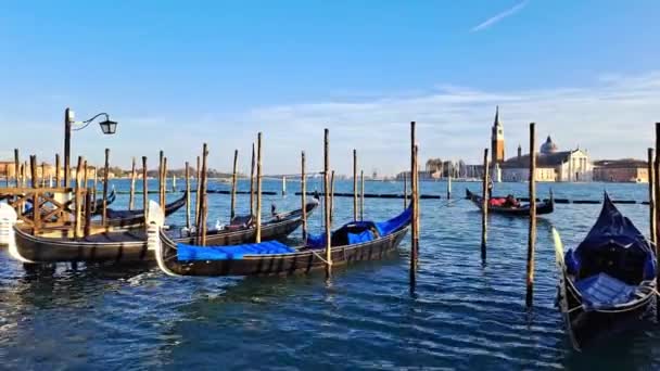 Όμορφη Θαλασσογραφία Γόνδολες Στα Καταγάλανα Νερά Της Βενετίας — Αρχείο Βίντεο