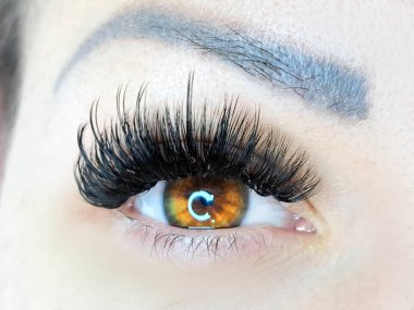 Kirpik uzatma, güzellik salonu tedavisi, 2d cilt, 3d cilt, klasik kirpik, Rus hacmi, megavolume, yeni set.