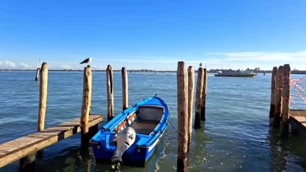 Indah Pemandangan Laut Dengan Gondolas Laut Biru Air Venesia Foto — Stok Video