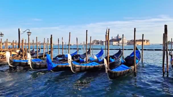 Vacker Havsutsikt Med Gondoler Det Blå Havsvattnet Venedig Högkvalitativt Foto — Stockvideo
