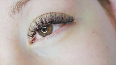 Kirpik uzantıları güzellik salonu makro gözü, 2d cilt 3d hacim, Rus hacmi, klasik tarz, çıkarıcı, yamalar, kirpik teknisyeni, güzellik uzmanı, lashmaker, kedi gözü