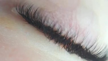 Kirpik uzantıları güzellik salonu makro gözü, 2d cilt 3d hacim, Rus hacmi, klasik tarz, çıkarıcı, yamalar, kirpik teknisyeni, güzellik uzmanı, lashmaker, kedi gözü