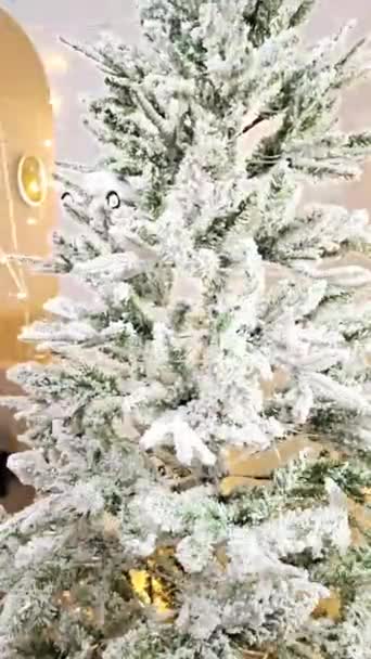 Process Decorating Christmas Tree Home — Stock Video