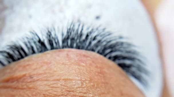 Gros Plan Des Extensions Cils Dans Salon Beauté Macro Oeil — Video